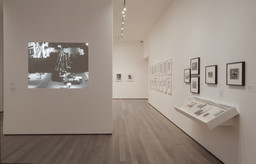 Installation photo, 38 of 57