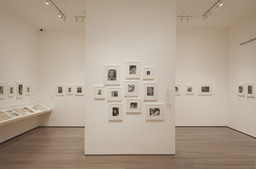 Installation photo, 13 of 57