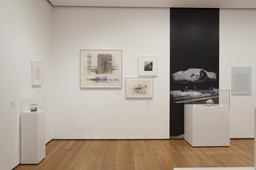 Installation photo, 6 of 23