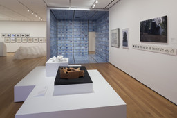 Installation photo, 20 of 23