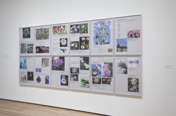 Installation photo, 28 of 56