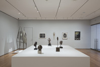 Soldier, Spectre, Shaman: The Figure and the Second World War. Oct 24, 2015–Apr 3, 2016. 9 other works identified