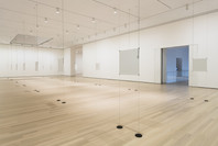 Bruce Nauman: Disappearing Acts. Oct 21, 2018–Feb 25, 2019.