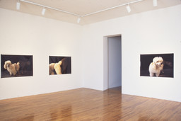 Installation photo, 9 of 41
