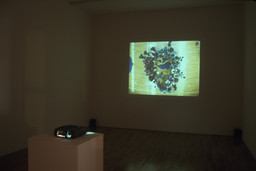Installation photo, 10 of 41