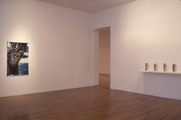 Installation photo, 15 of 41