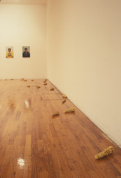 Installation photo, 17 of 41