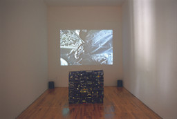 Installation photo, 36 of 41
