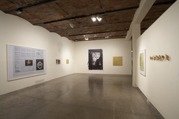 Installation photo, 7 of 13