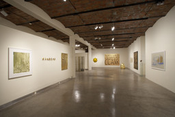Installation photo, 8 of 13