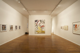 Installation photo, 10 of 17