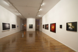 Installation photo, 4 of 17