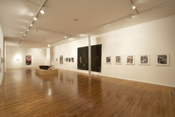 Installation photo, 6 of 17