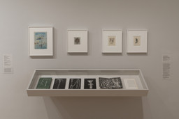 Installation photo, 5 of 7