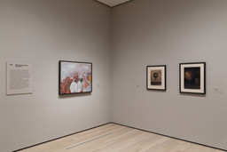 Installation photo, 1 of 17