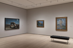 Installation photo, 6 of 17