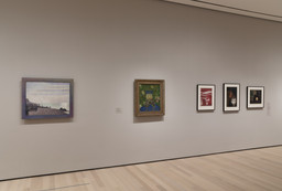 Installation photo, 5 of 17
