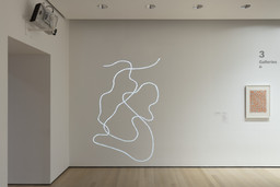 Installation photo, 39 of 46
