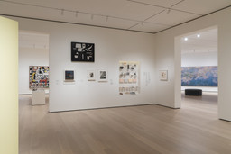 Installation photo, 3 of 22