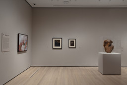 Installation photo, 16 of 17