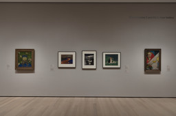 Installation photo, 17 of 17