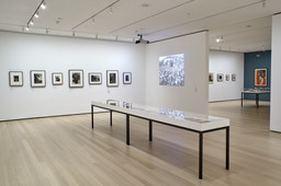 Installation photo, 44 of 57