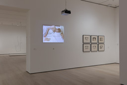 Installation photo, 9 of 22