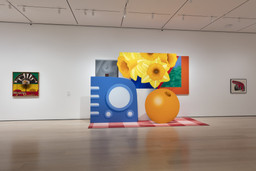 Installation photo, 4 of 22