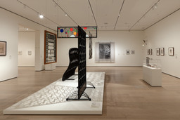 Installation photo, 8 of 9
