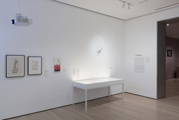 Installation photo, 21 of 27