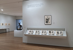 Installation photo, 19 of 37
