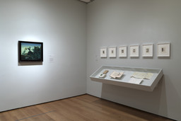 Installation photo, 24 of 37