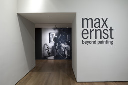 Installation photo, 2 of 37