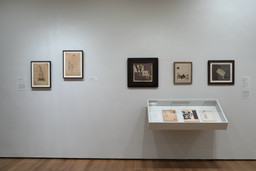 Installation photo, 4 of 37