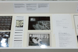 Installation photo, 44 of 67