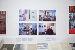 Installation photo, 49 of 67