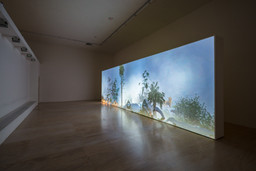 Installation photo, 50 of 81
