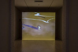 Installation photo, 66 of 81
