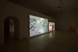 Installation photo, 14 of 81