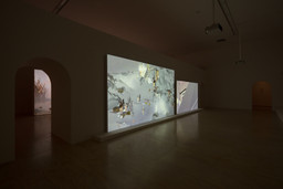 Installation photo, 15 of 81