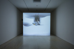 Installation photo, 30 of 81