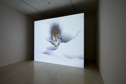 Installation photo, 37 of 81