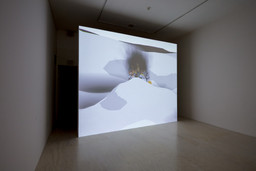 Installation photo, 38 of 81
