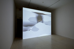 Installation photo, 39 of 81