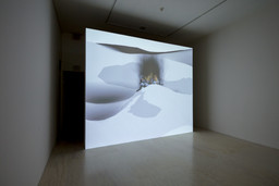 Installation photo, 40 of 81