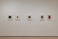 421: Anne Ryan. Sep 23, 2022–Apr 9, 2024. 4 other works identified