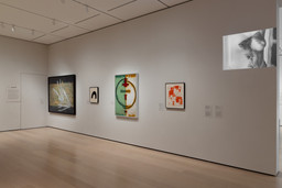 Installation photo, 6 of 9