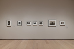 Installation photo, 12 of 22