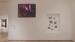 Installation photo, 21 of 36