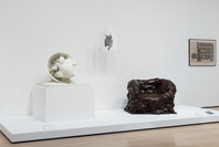 417: Body Constructs. Ongoing. 2 other works identified